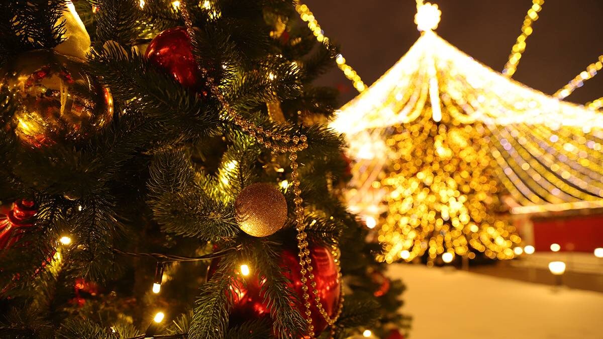    Фото: Анатолий Цымбалюк / Вечерняя Москва