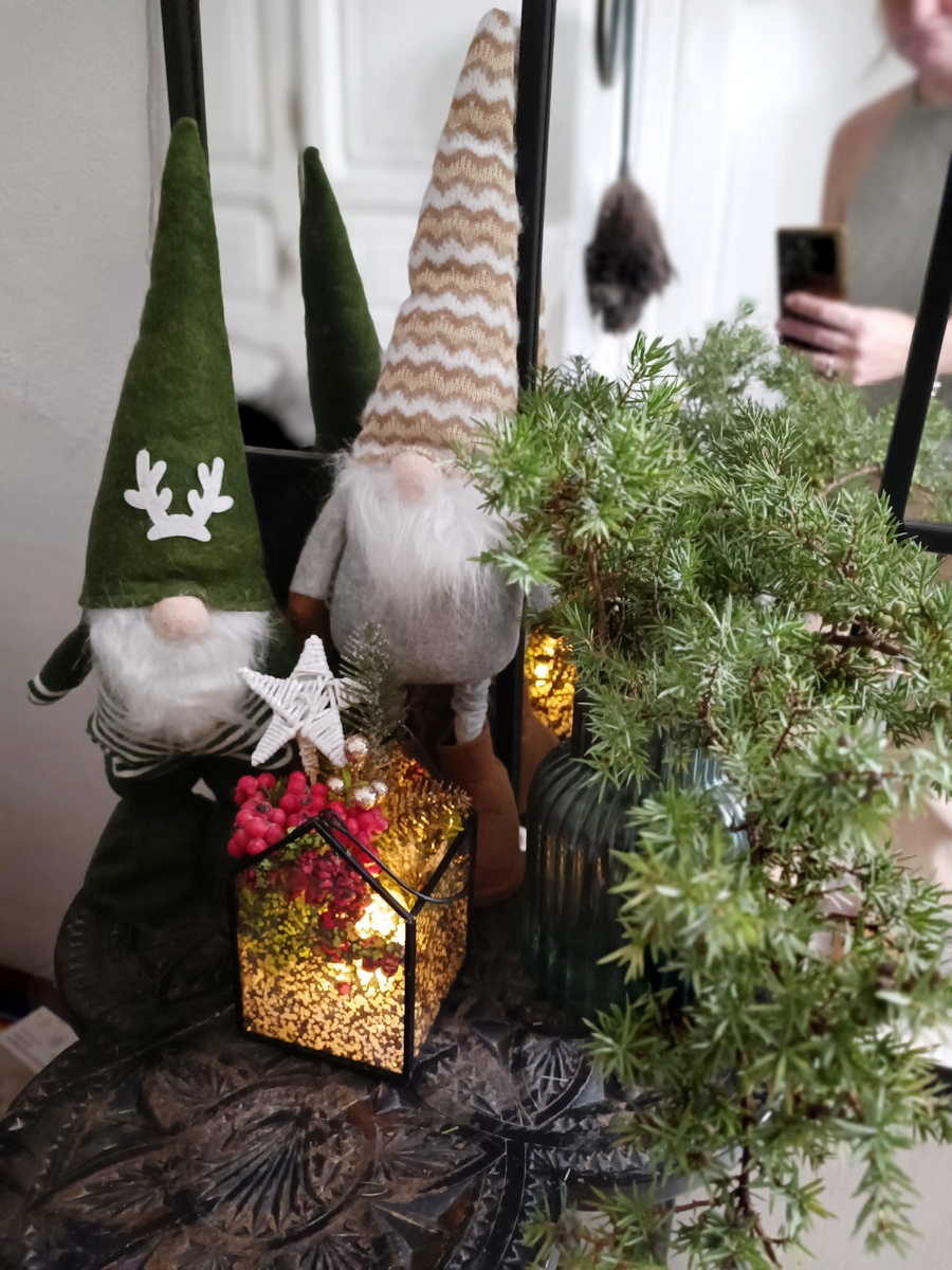 Можжевельник - коммунальщики удачно обрезали ветки у одного из дворовых - оказался удивительно стоек и без проблем простоял 3 недели