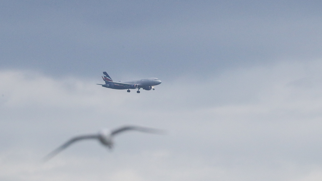    Petrov Sergey/news.ru/Globallookpress