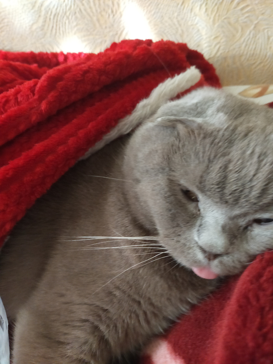 Лёва делает зарядку.