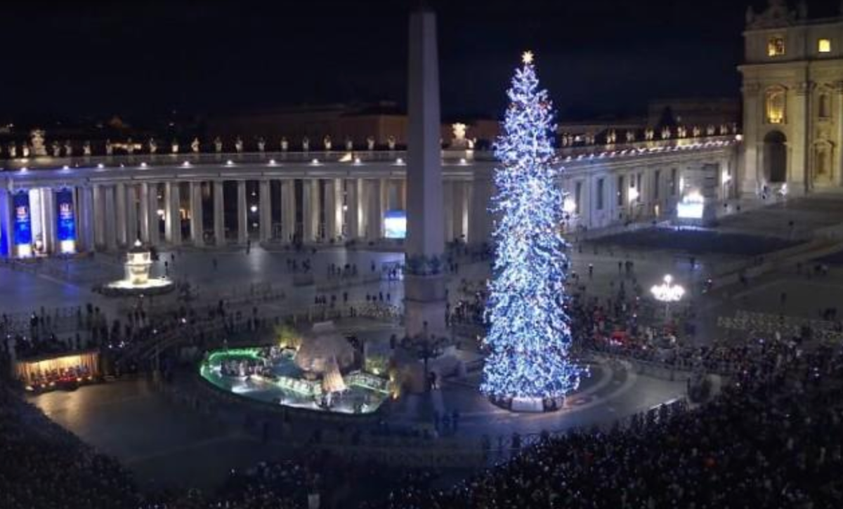 Рождественская ель в Ватикане