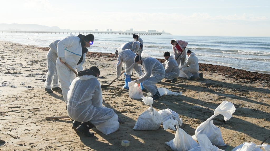    Фото: admkrai.krasnodar tamannews