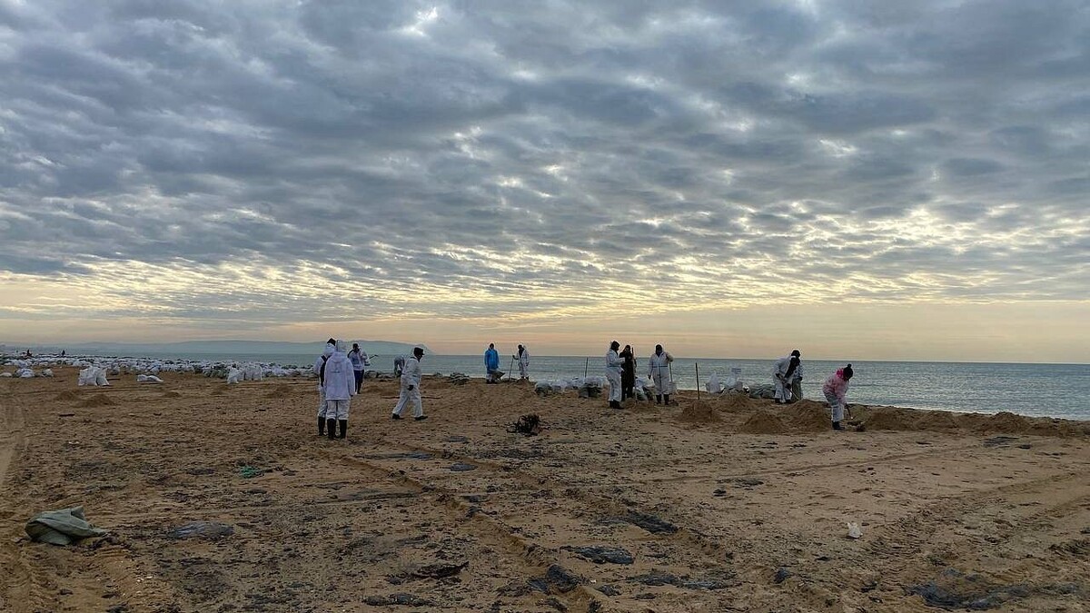    Фото: телеканал «Краснодар»