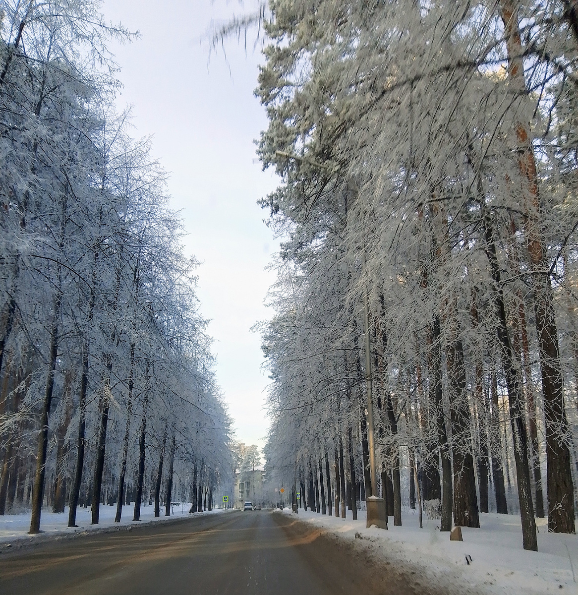 На улице красота 