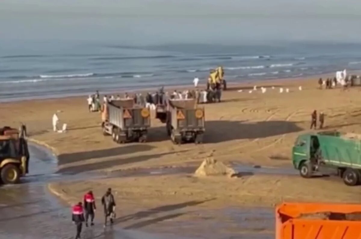    На Кубани ввели режим ЧС в связи с выбросом нефтепродуктов на побережье