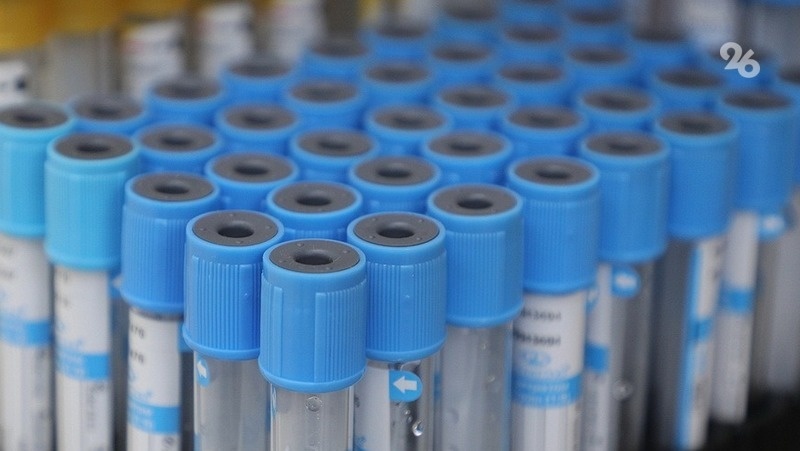      Фото: Дмитрий Ахмадуллин / / ИА «Победа26»