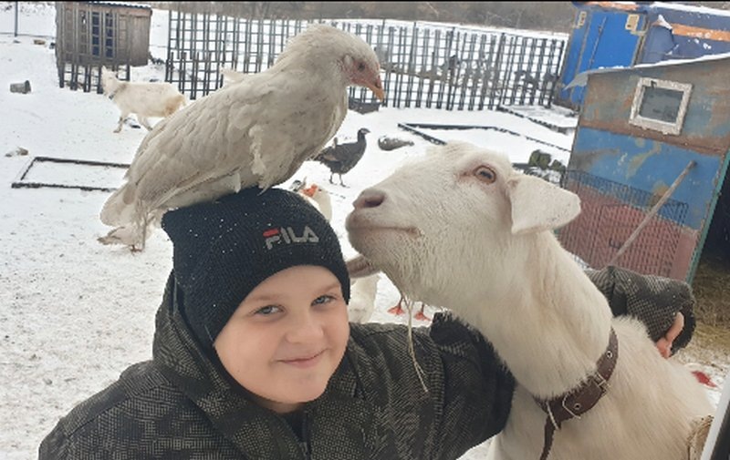 Подопечные всегда очень рады своему главному уходчику — Степану.