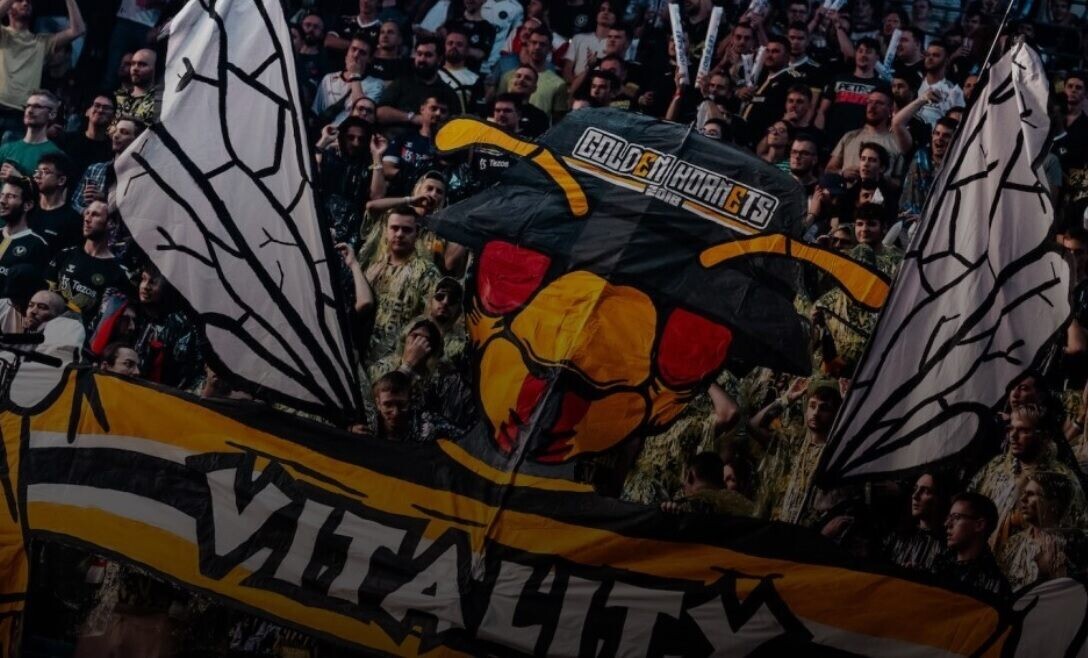    Фото: Team Vitality