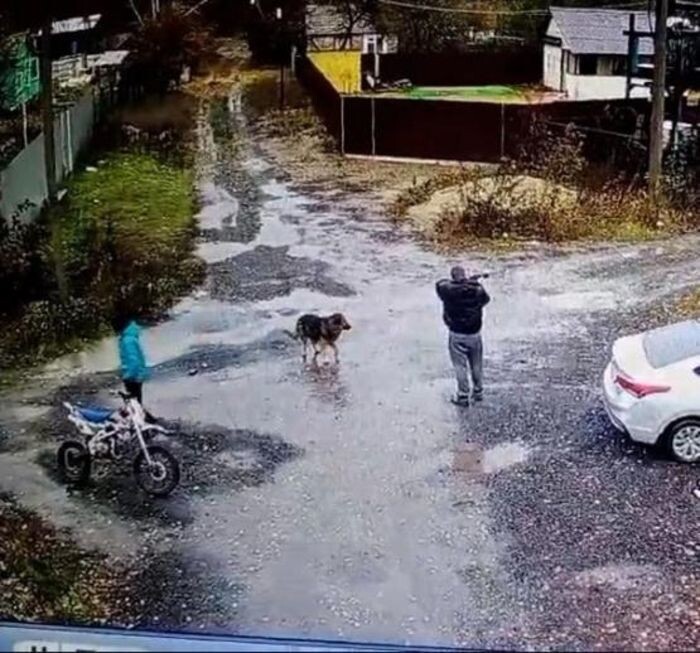 Источник фото: Соцсети