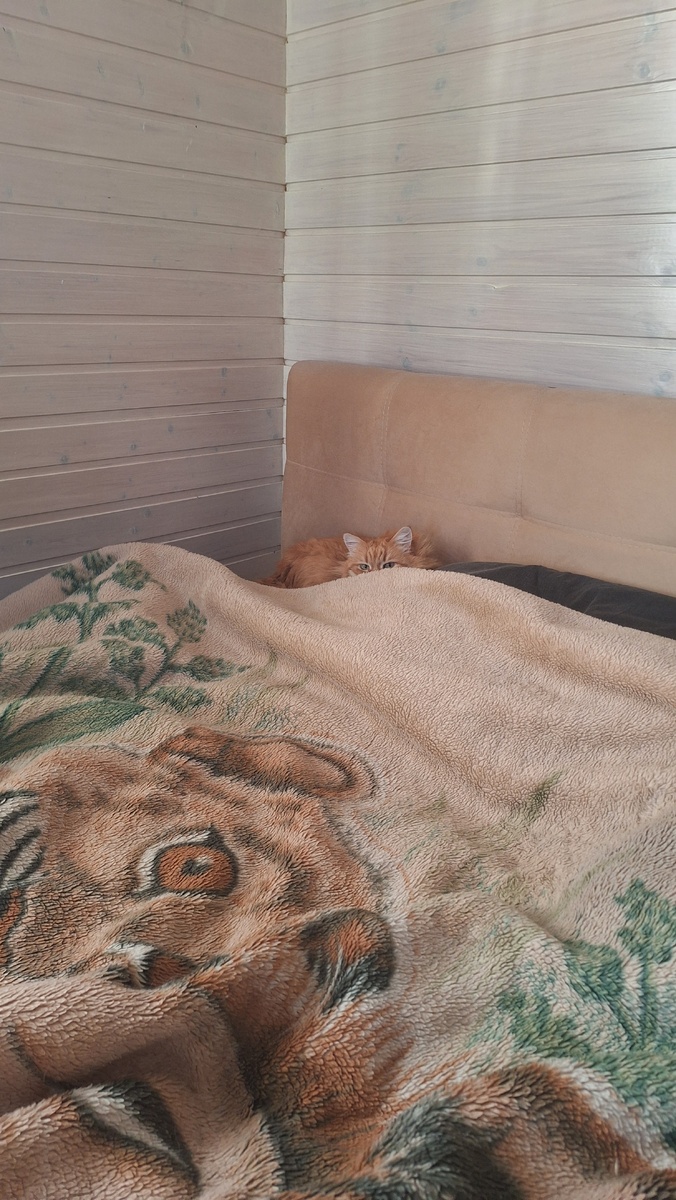 Фото автора. 