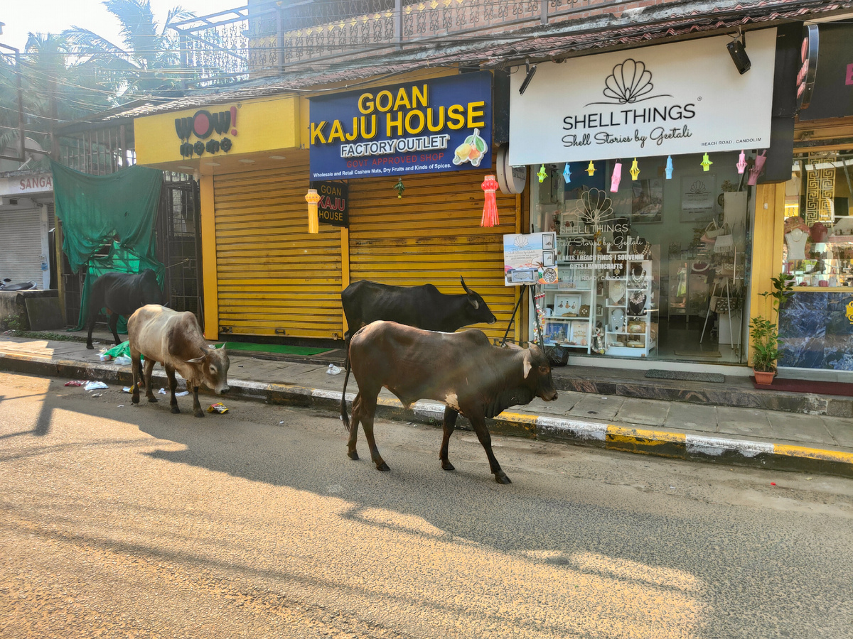 фото автора Елены М.