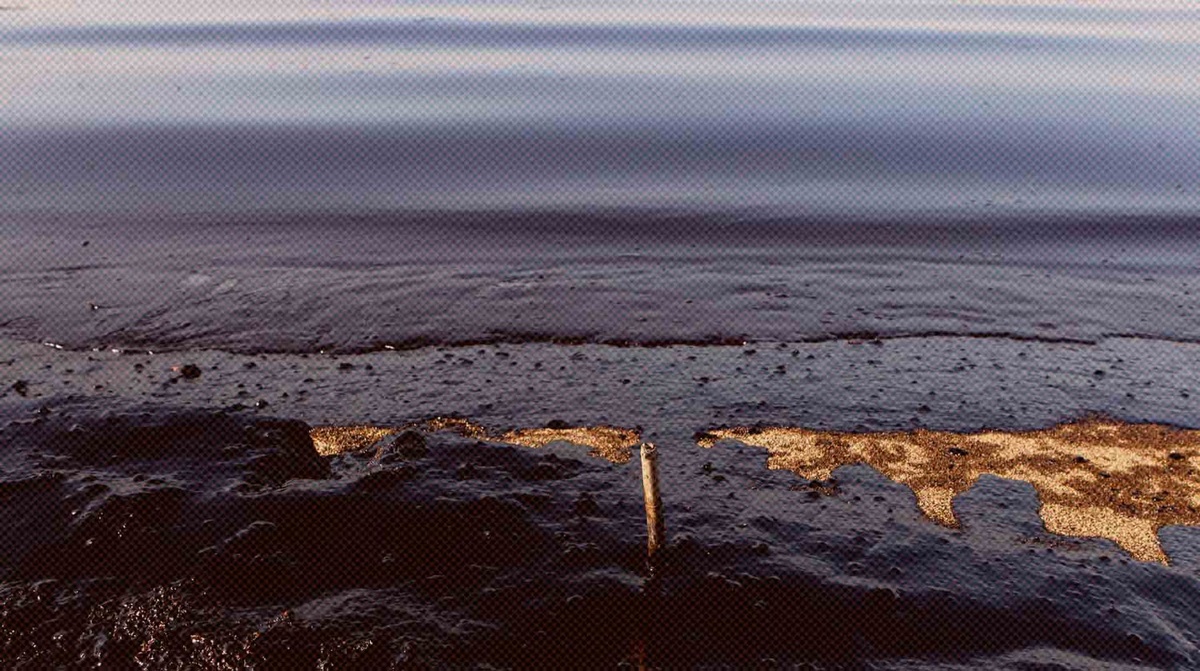    Фото: Global Look Press / Aristidis Vafeiadakis