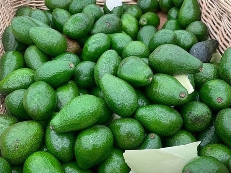     Пюре авокадо с добавлением лимонного сока также будет вкусной и полезной заменой майонезу. Фото: «МК в Великом Новгороде»