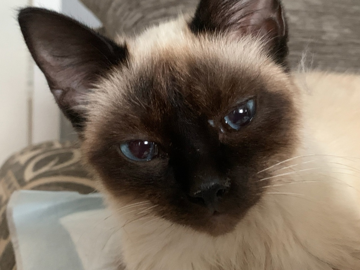 Как можно выбросить это чудо на улицу?!