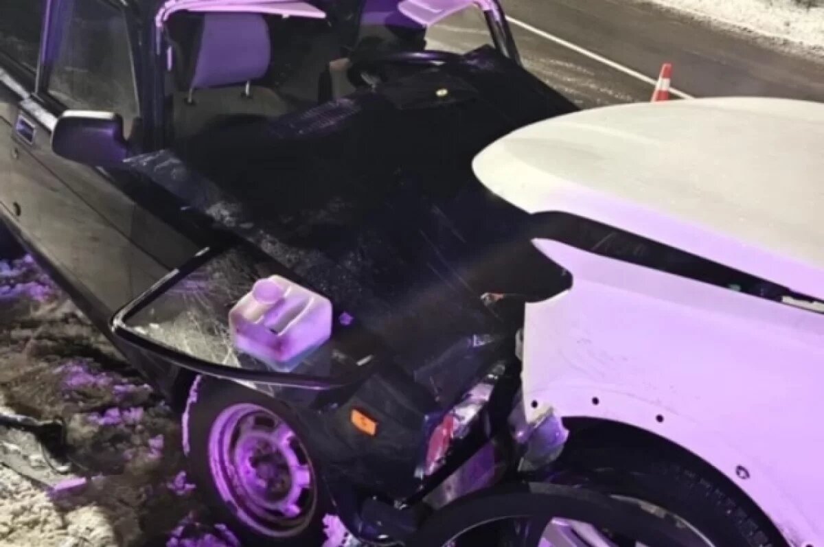    В Выборгском районе Ленобласти женщина и ребенок пострадали в ДТП