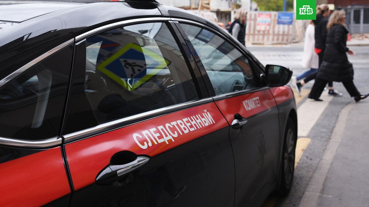    Фото: РИА Новости © 2024, Кирилл Каллиников