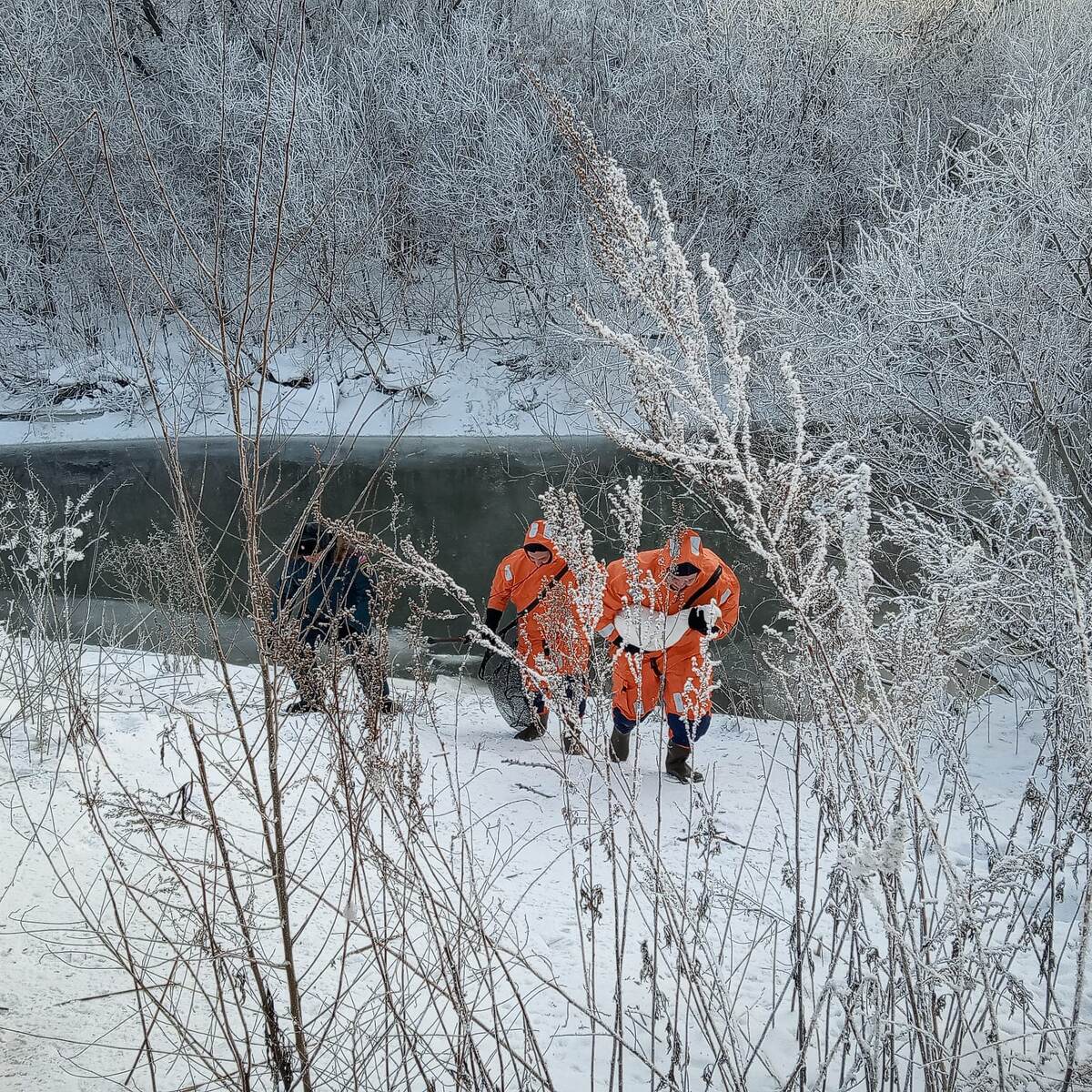 Сотрудники МЧС несут гуся