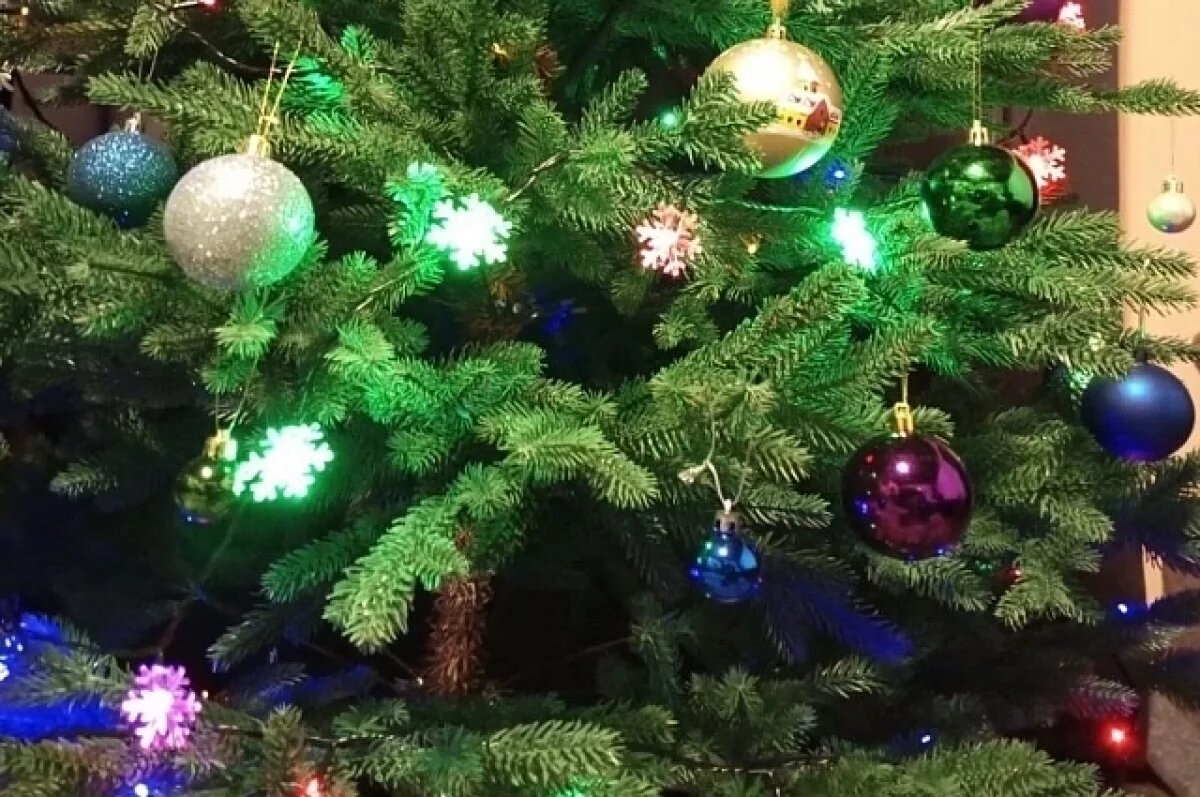    В Актау решили не зажигать огни на новогодней елке из-за крушения самолета