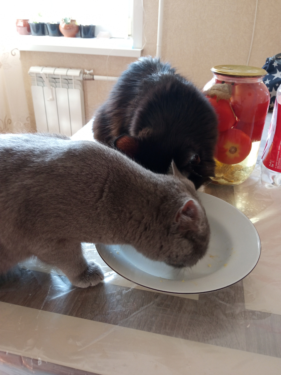 Доедают картошку. 