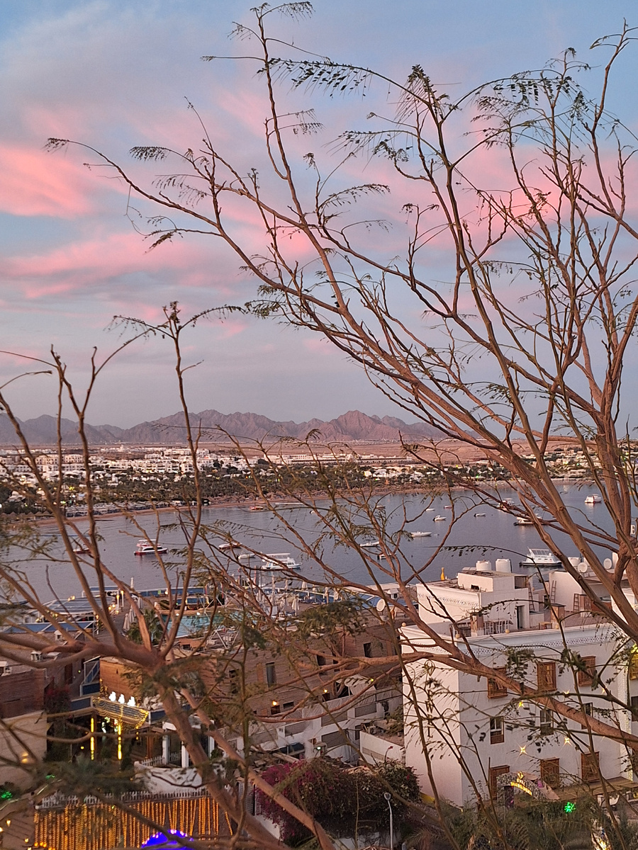 Фото - собственность автора канала.