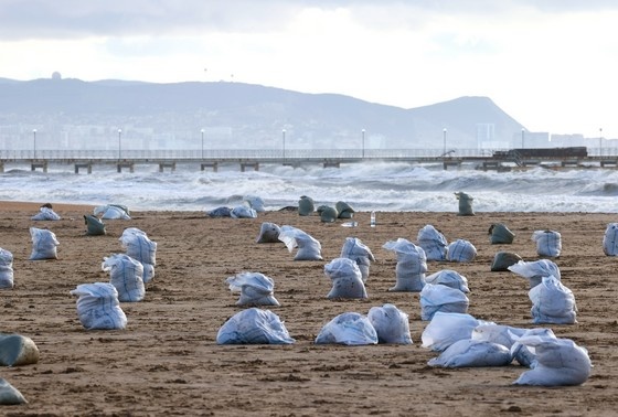     Мешки с собранным мазутом на пляже у села Витязево