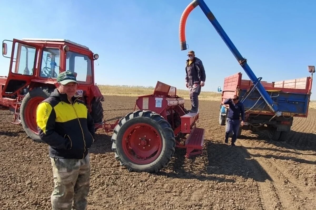    Опыт и знания, которые специалисты применяют на каждом этапе полевых работ, позволяют аграриям добиваться хороших результатов.