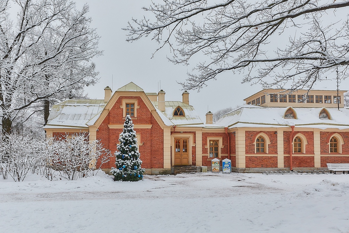 Источник фото: группа в ВК «Новая ферма»