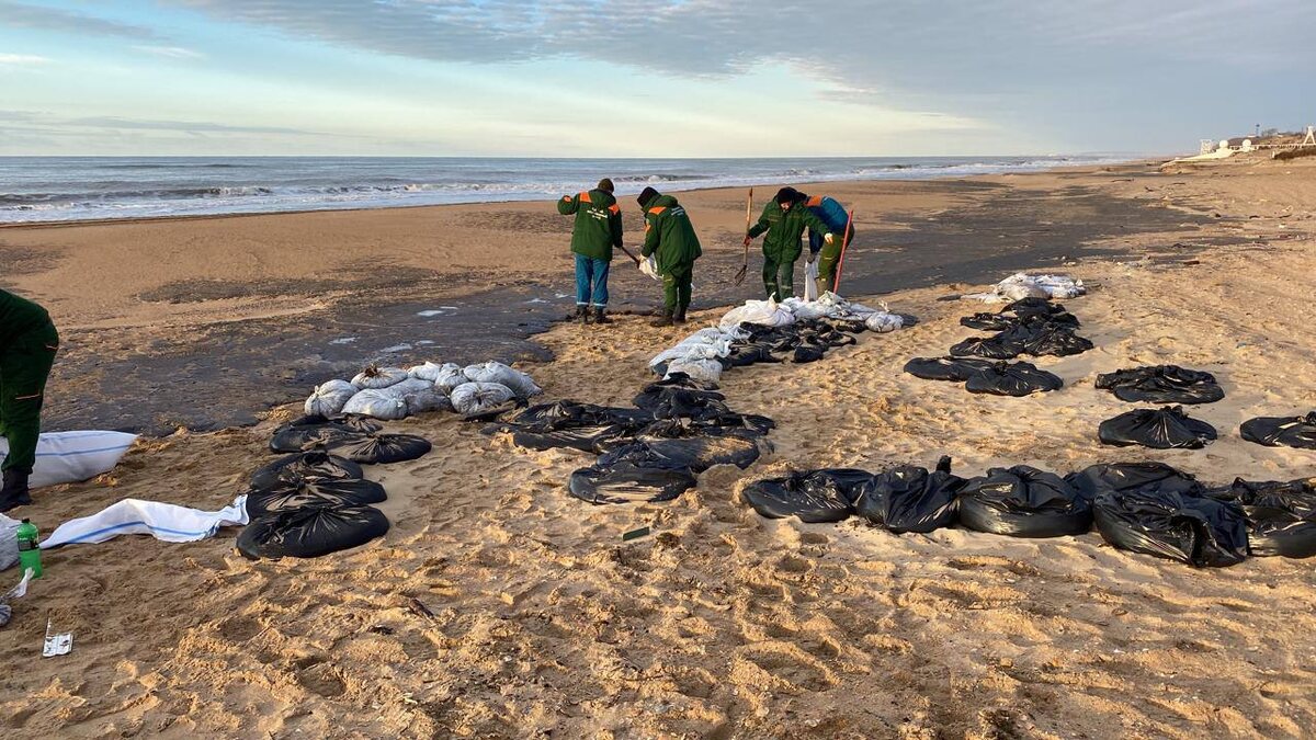 Фото: Telegram/Минприроды Краснодарского края  📷
