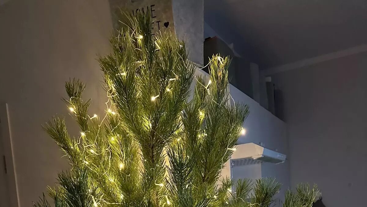     Источник: rostovgazeta.ru