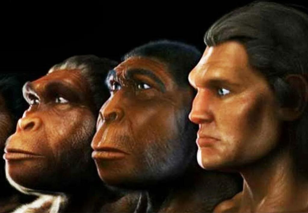 Источник: https://www.youtube.com/watch?v=xpc_5oecAFQ