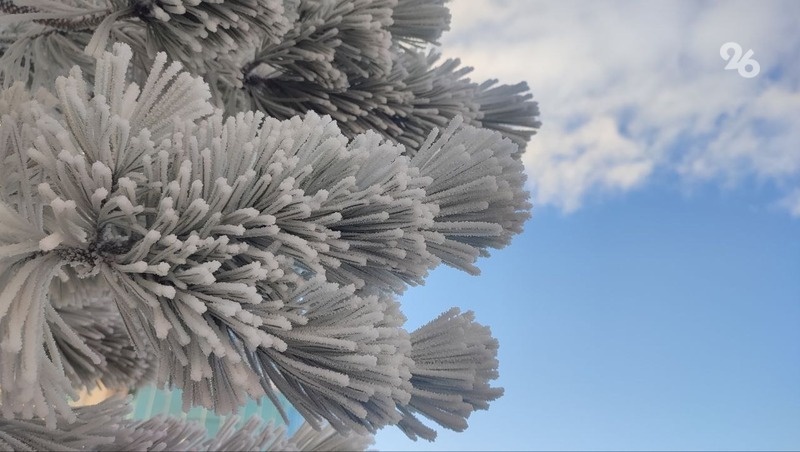      Фото: ИА «Победа26»