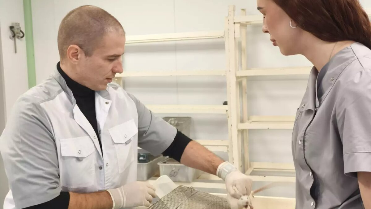     Источник: ПМФИ