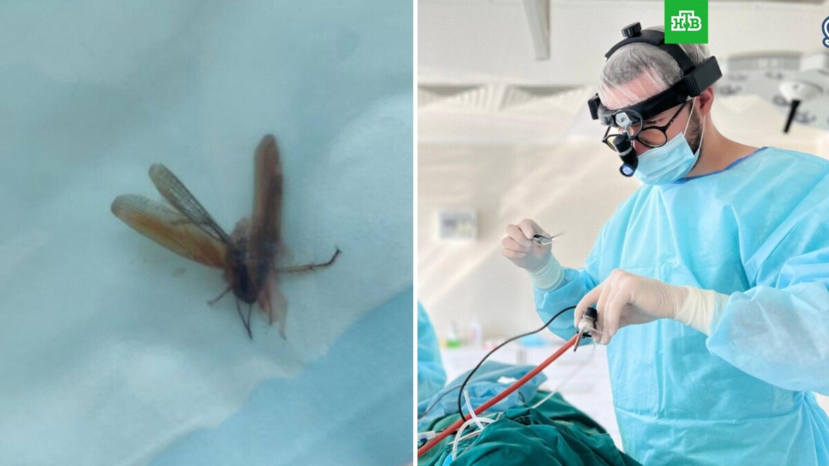    Фото: gkbMPKdzm / t.me