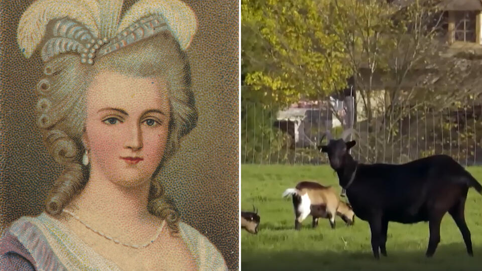 Фото: © Использованы материалы: Global Look Press, скриншот видео