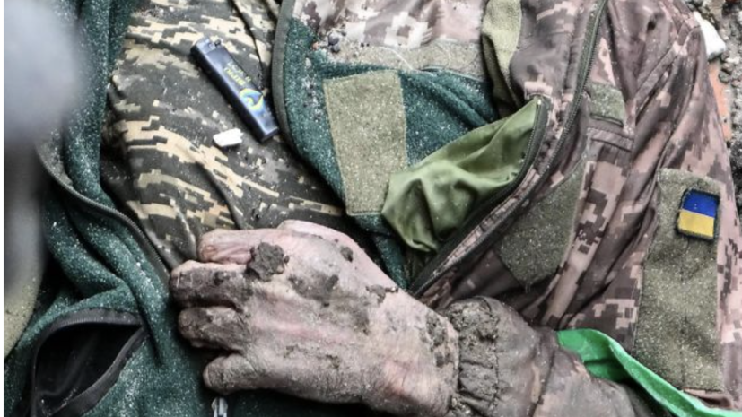    Фото: russian.rt.com Георгий