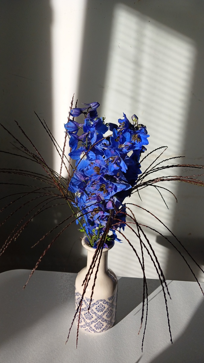 Дельфиниум и декоративное просо