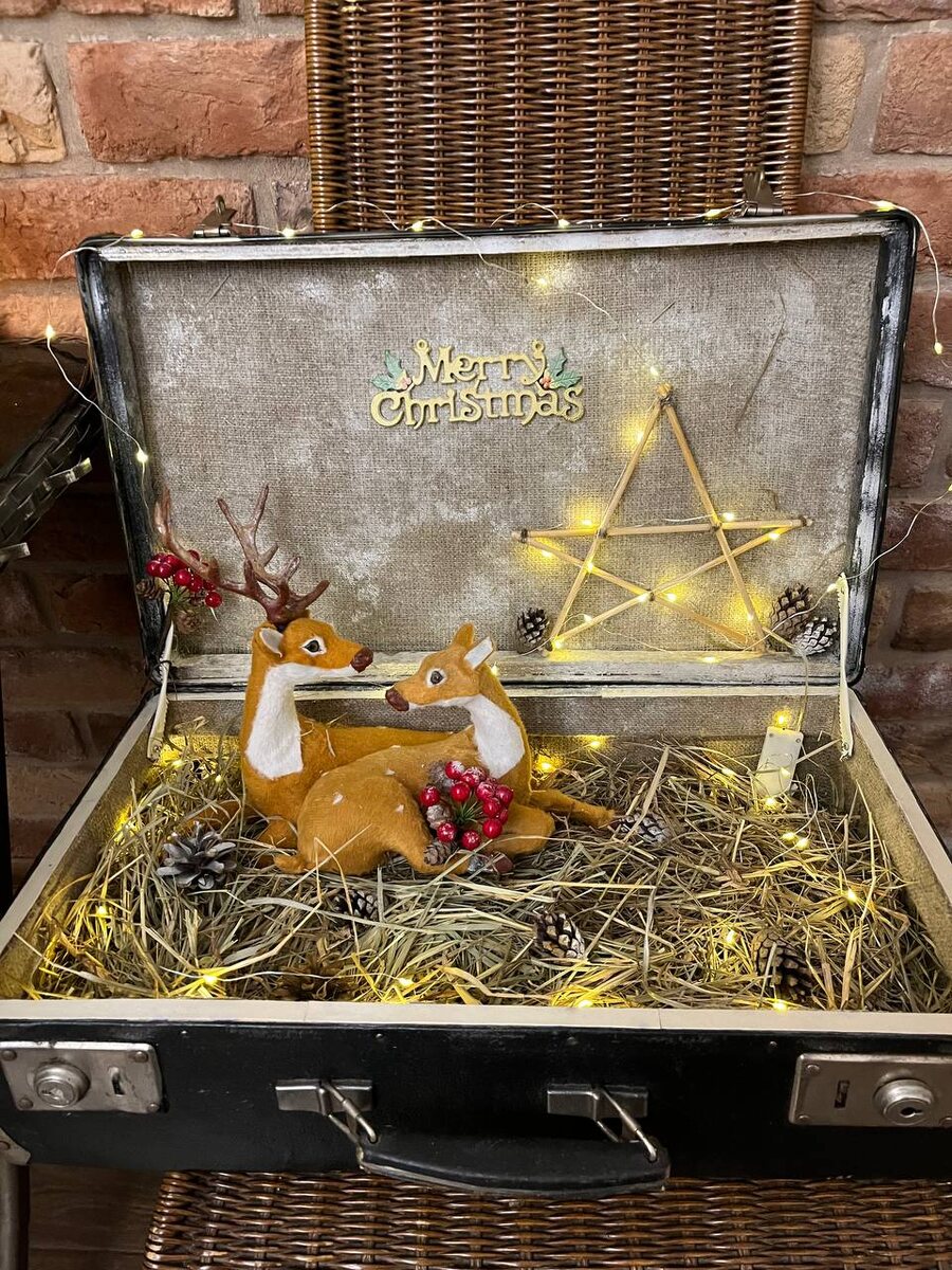  при свете вот так - прям в этом витнажном чемоданчике продавалось и хранить в нем