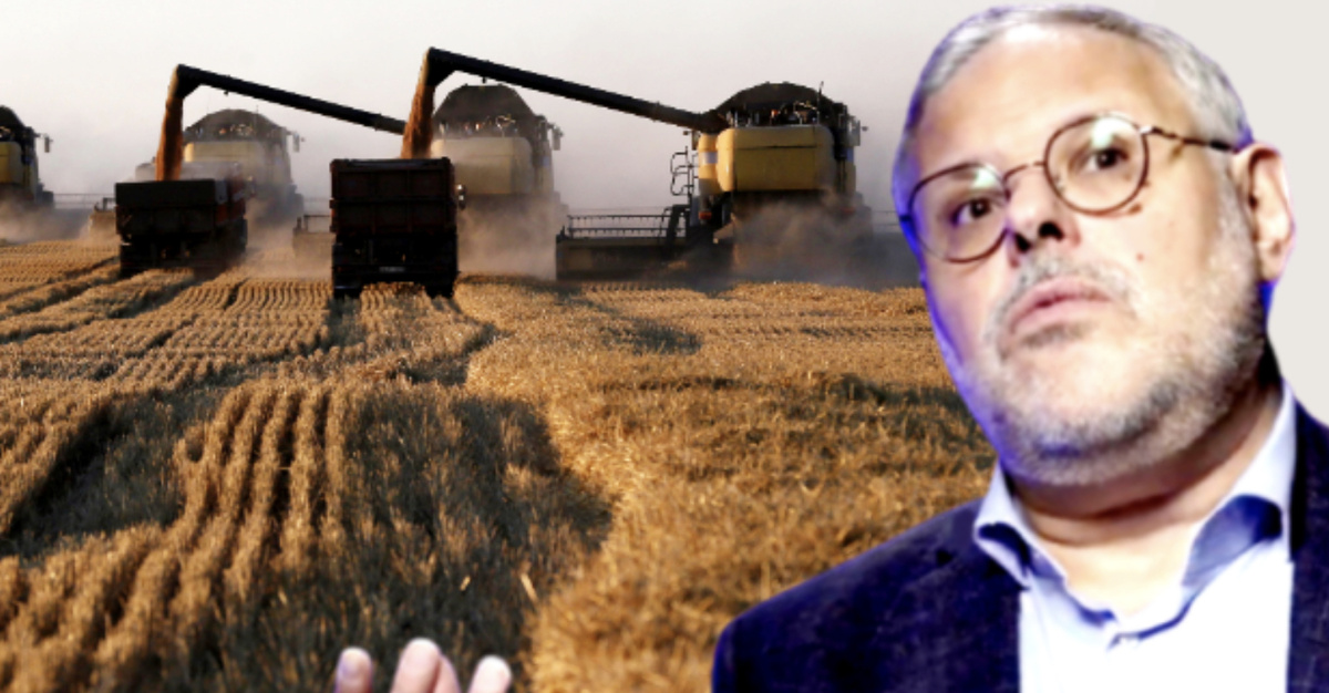 Сельхозпроизводители бьют рекорды