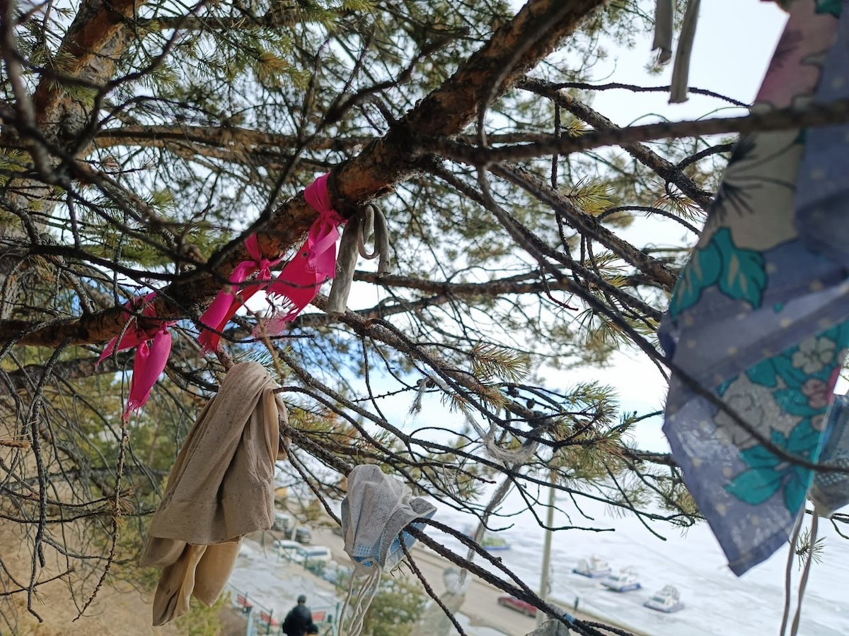 Фото © Валерия Сан