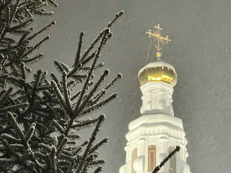   Анна Арапова