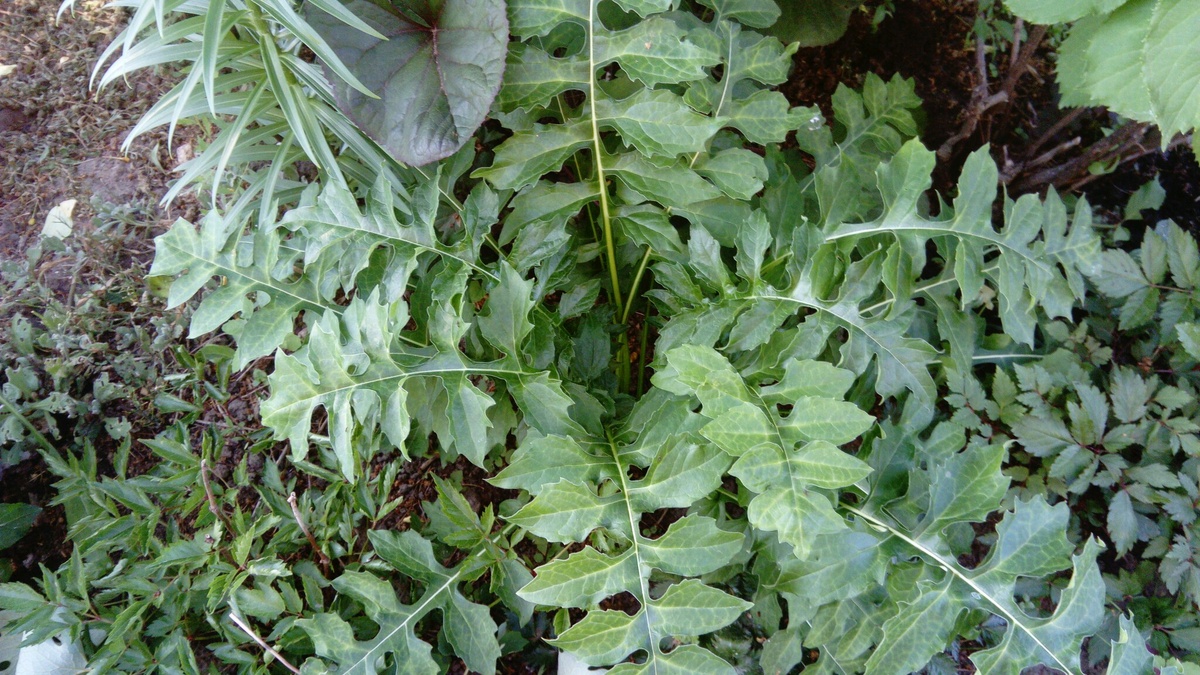 весна 2019 года