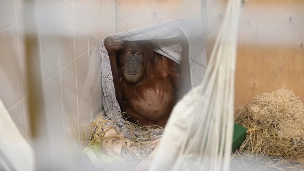    Фото: В курсе.ру Полина Анкушина