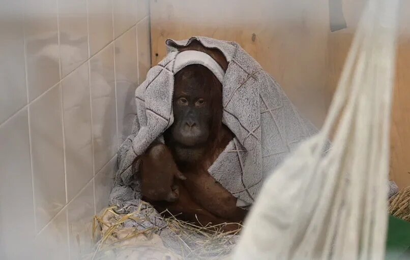    Фото: В курсе.ру Полина Анкушина