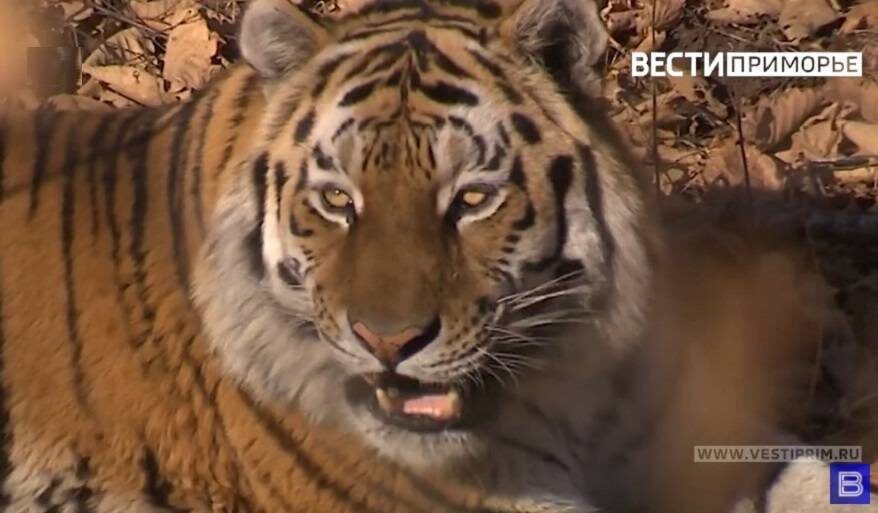    Источник фото: