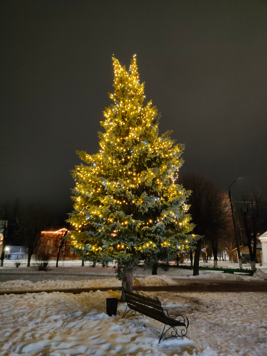 Одна из множества украшенных ёлочек в Шуе. Фото моё