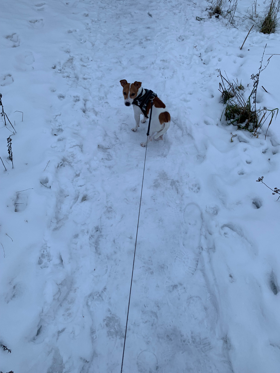 Всем привет от Эйса