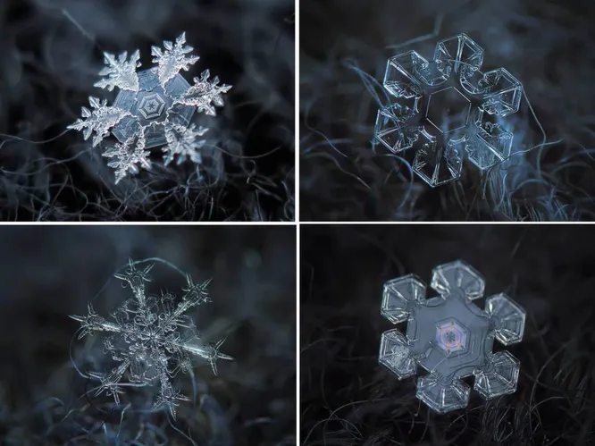 Разные снежинки