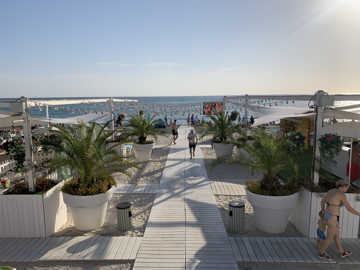 фото: Сочи 24  📷
