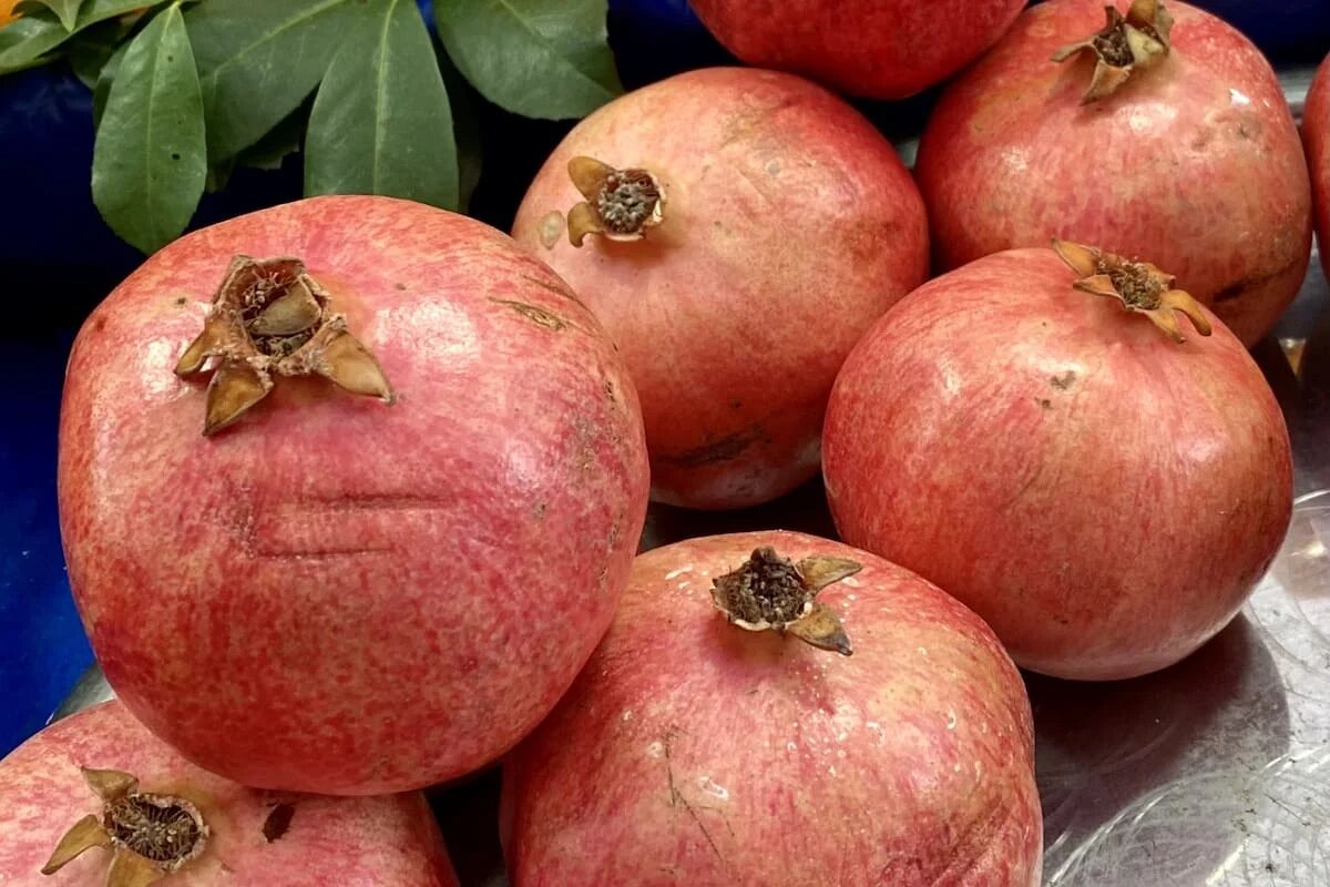 Фото: UfacityNews.ru