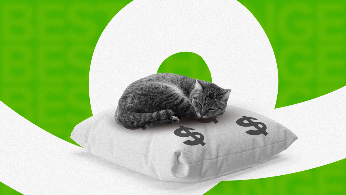 Финансовая подушка безопасности